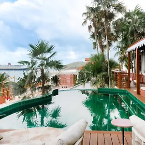 The Pink Palm - Adults Only Charlotte Amalie